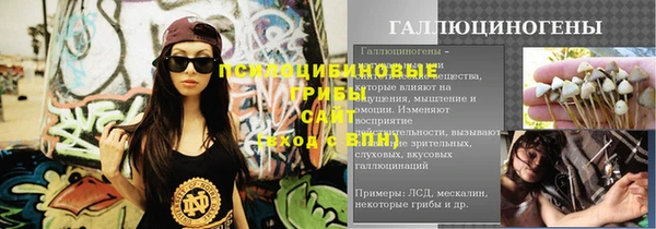 кокс Арсеньев