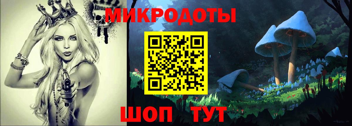 Псилоцибиновые грибы Psilocybine cubensis  Вход с VPN  Черняховск 