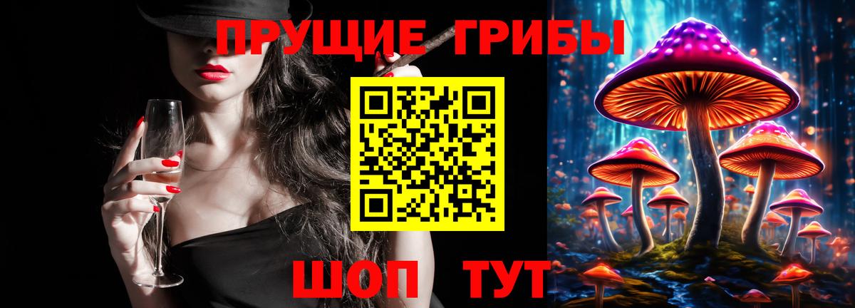 Псилоцибиновые грибы мухоморы Черняховск